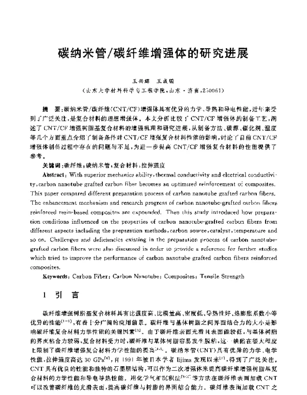 碳纳米管碳纤维增强体的研究进展