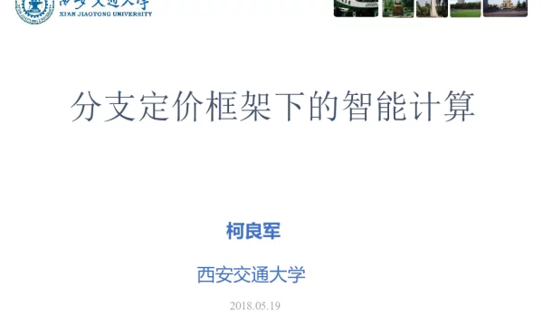 分支定价框架下的智能计算