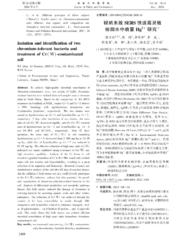 银纳米线SERS快速高灵敏检测水中痕量Hg2+研究