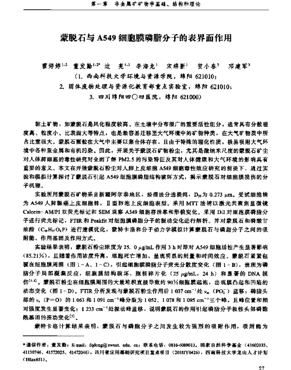 蒙脱石与A549细胞膜磷脂分子的表界面作用