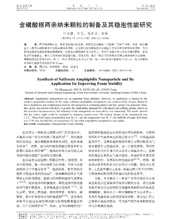 含磺酸根两亲纳米颗粒的制备及其稳泡性能研究