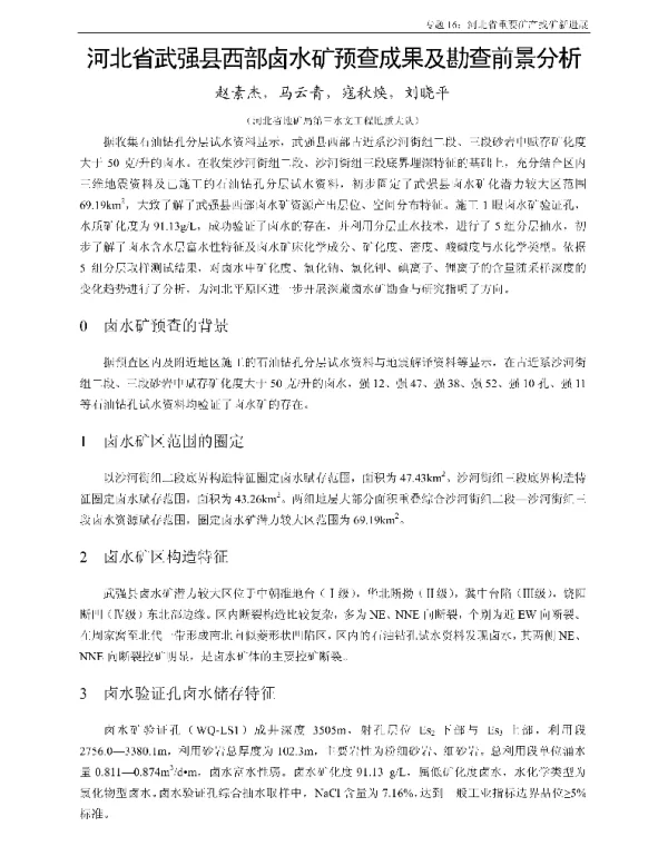 河北省武强县西部卤水矿预查成果及勘查前景分析