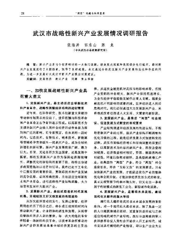 武汉市战略性新兴产业发展情况调研报告