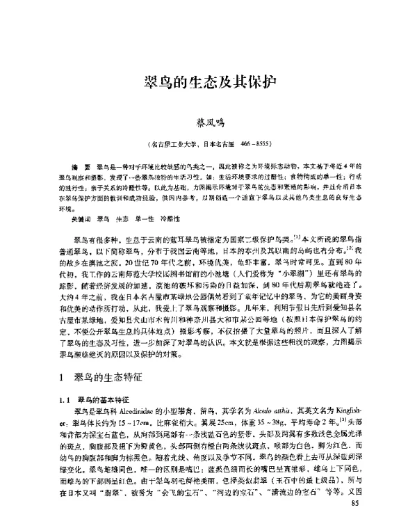 翠鸟的生态及其保护