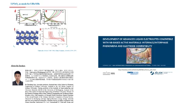 DEVELOPMENTOFADVANCEDLIQUIDELECTROLYTESCOMPATIBLEWITHNB-BASEDACTIVEMATERIALSINTERFACEINTERPHASEPHENOMENAANDELECTRODECOMPATIBILITY