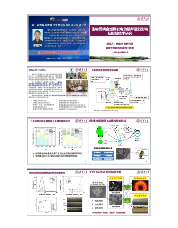 生物质耦合燃煤发电的锅炉运行影响及控制技术研究