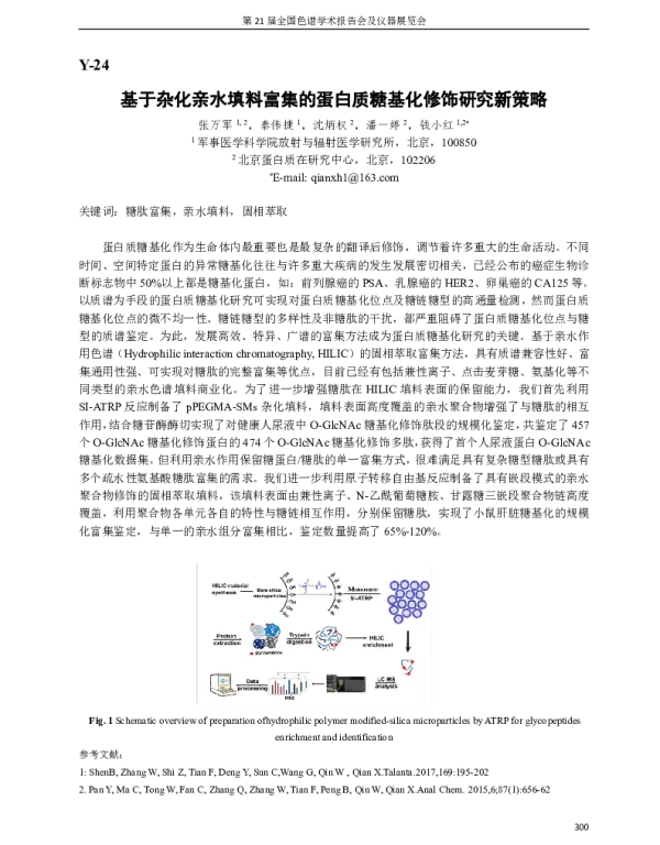基于杂化亲水填料富集的蛋白质糖基化修饰研究新策略