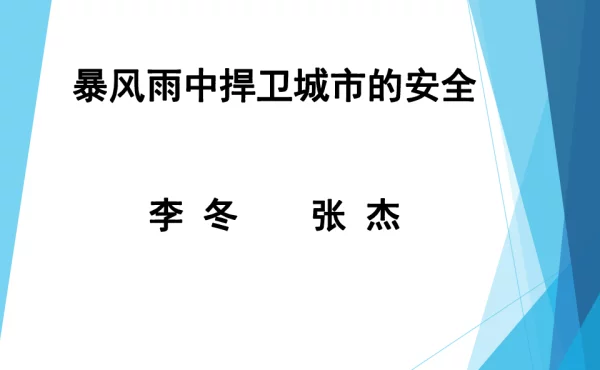 暴风雨中捍卫城市的安全