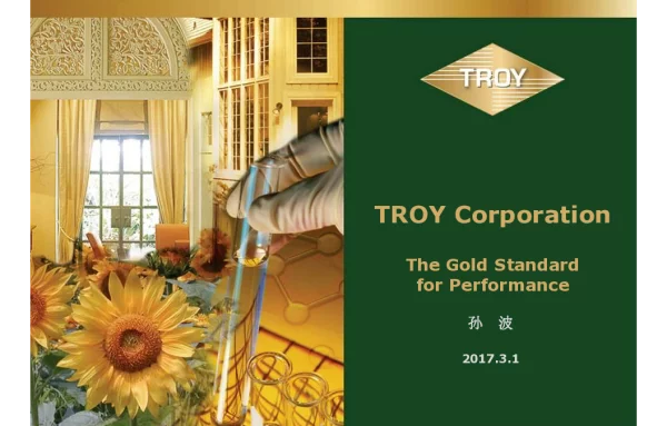 TROYCorporation