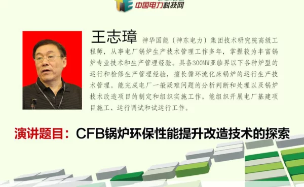 CFB锅炉环保性能提升改造技术的探索