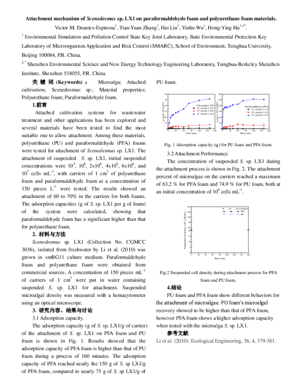 AttachmentmechanismofScenedesmussp.LX1onparaformaldehydefoamandpolyurethanefoammaterials