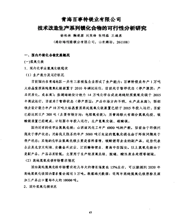 技术改造生产系列镁化合物的可行性分析研究