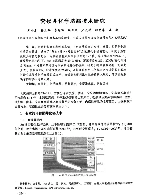 套损井化学堵漏技术研究