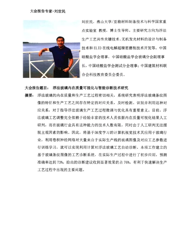 浮法玻璃内在质量可视化与智能诊断技术研究