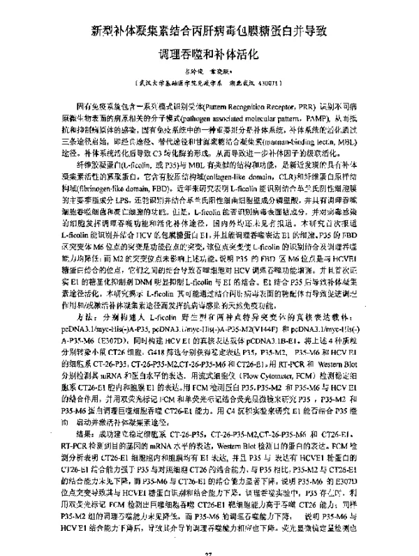 新型补体凝集素结合丙肝病毒包膜糖蛋白并导致调理吞噬和补体活化