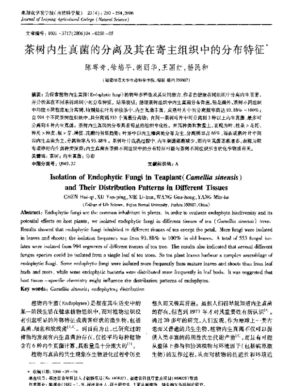 茶树内生真菌的分离及其在寄主组织中的分布特征