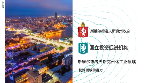 斯维尔德洛夫斯克州化工业领域投资领域的潜力