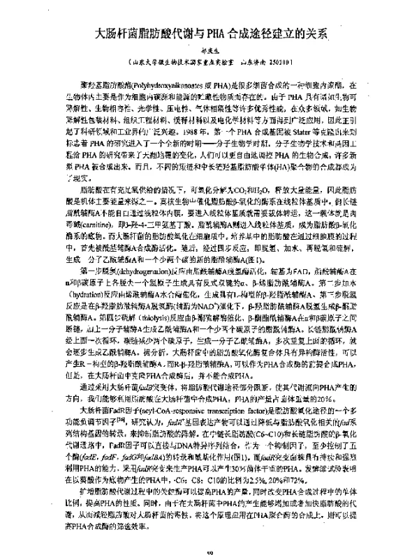 大肠杆菌脂肪酸代谢与PHA合成途径建立的关系