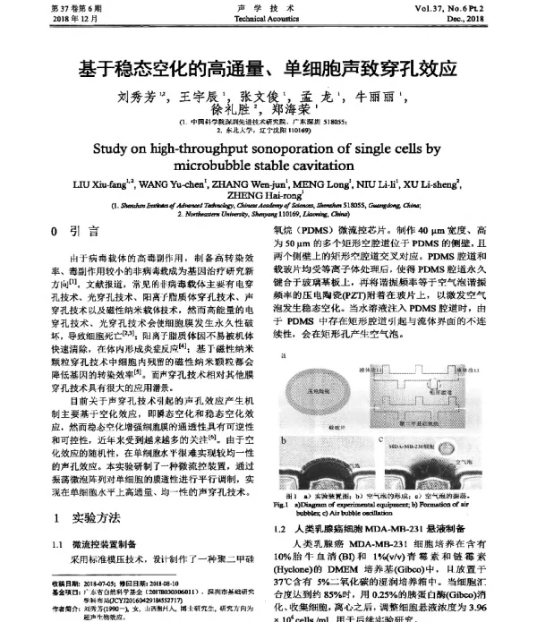 基于稳态空化的高通量、单细胞声致穿孔效应