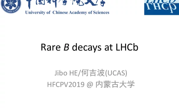 RareBdecaysatLHCb