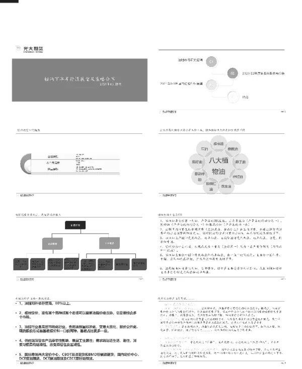 棕油下半年行情展望及策略分享