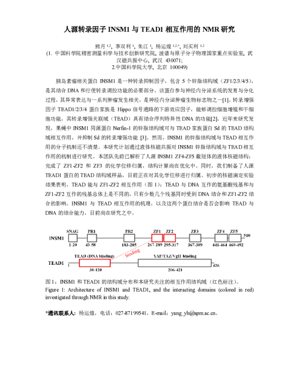 人源转录因子INSM1与TEAD1相互作用的NMR研究