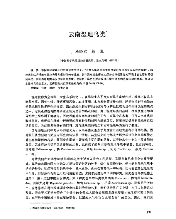 云南湿地鸟类