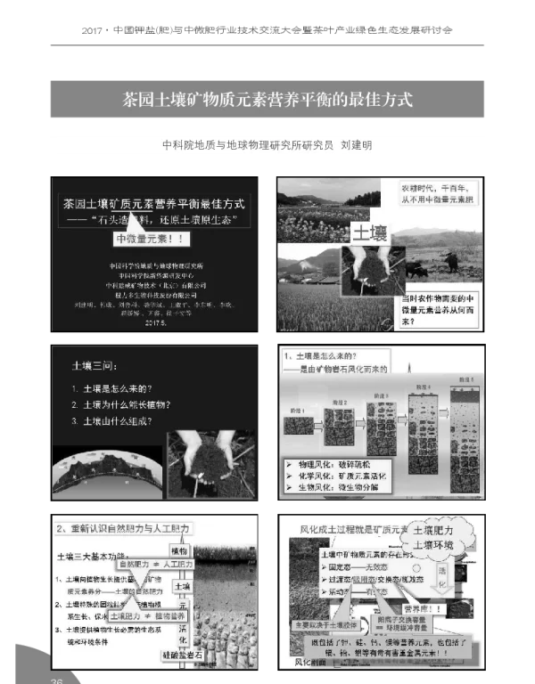 茶园土壤矿物质元素营养平衡的最佳方式