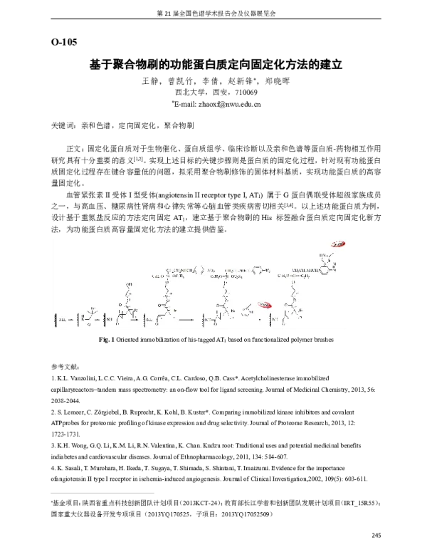 基于聚合物刷的功能蛋白质定向固定化方法的建立