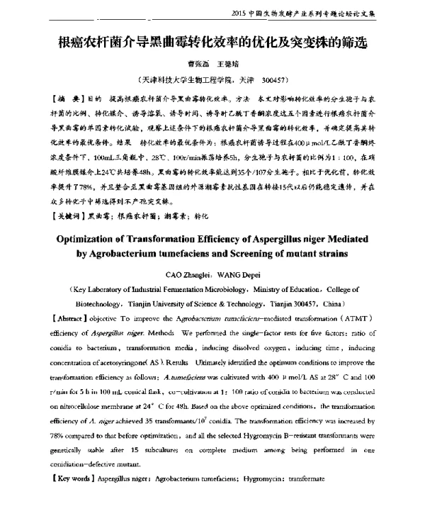 根癌农杆菌介导黑曲霉转化效率的优化及突变株的筛选