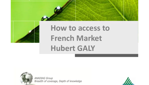 HowtoaccesstoFrenchMarketHubertGALY