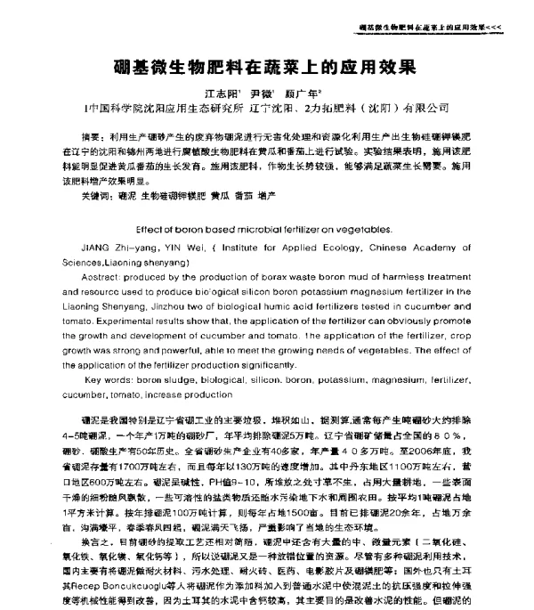 硼基微生物肥料在蔬菜上的应用效果