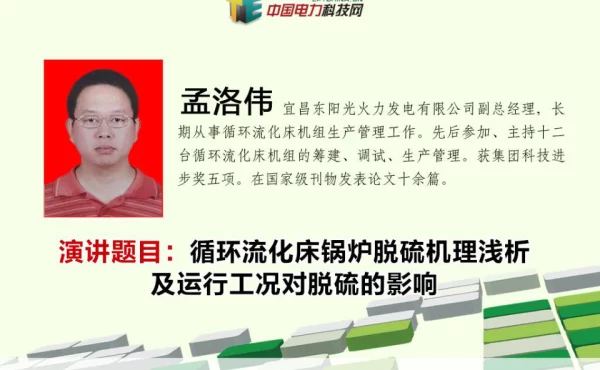 循环流化床锅炉脱硫机理及运行特性