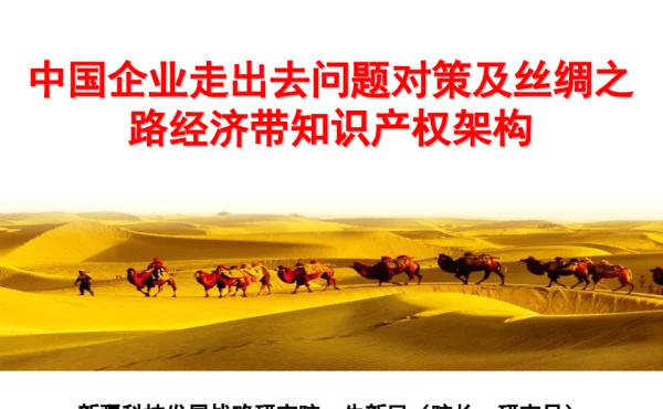 中国企业走出去问题对策及丝绸之路经济带知识产权架构