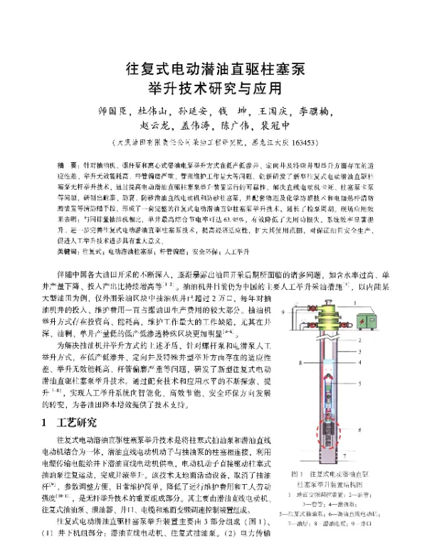 往复式电动潜油直驱柱塞泵举升技术研究与应用