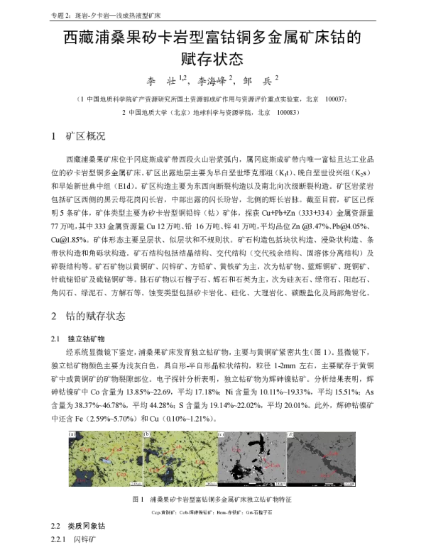 西藏浦桑果矽卡岩型富钴铜多金属矿床钴的赋存状态