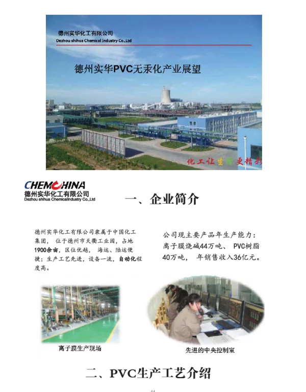 德州实华PVC无汞化产业展望