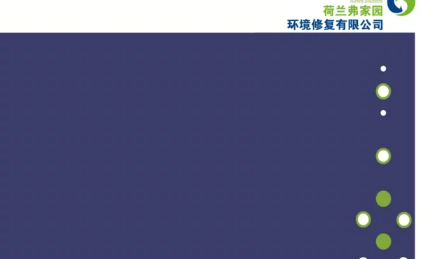 实际应用先进修复技术