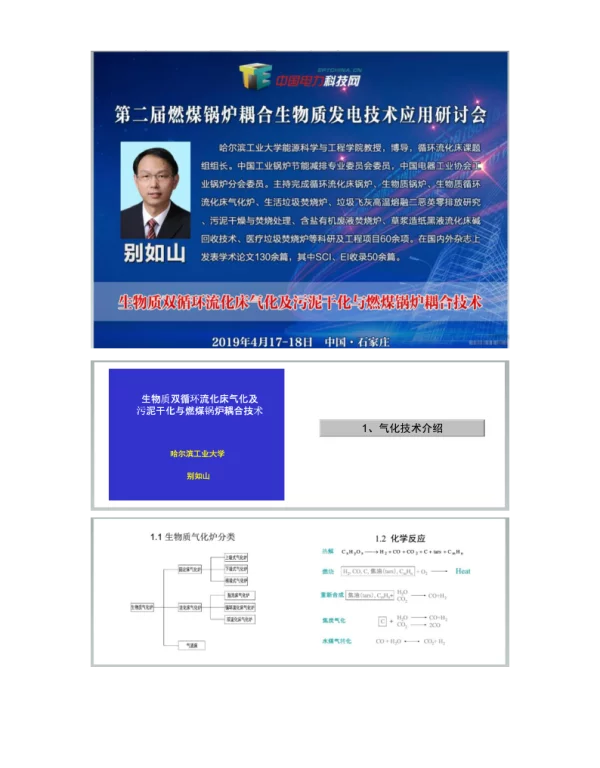 生物质双循环流化床气化及污泥干化与燃煤锅炉耦合技术