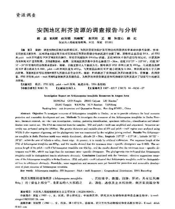 安国地区荆芥资源的调查报告与分析