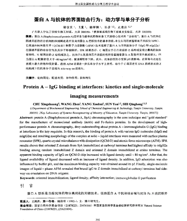 蛋白A与抗体的界面结合行为动力学与单分子分析