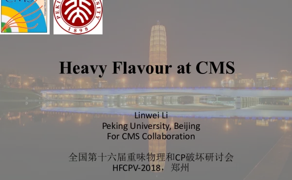 HeavyFlavouratCMS
