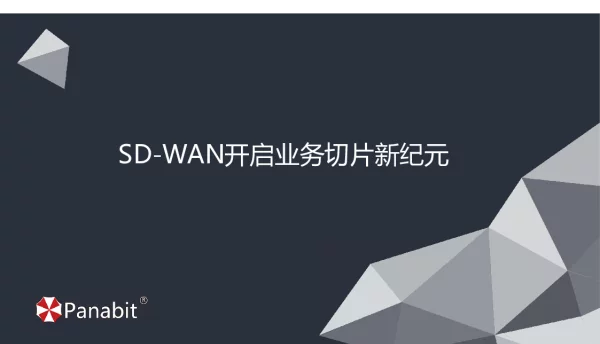 SD-WAN开启业务切片新纪元