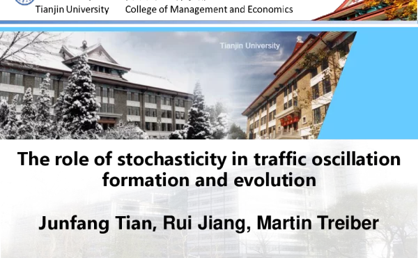 Theroleofstochasticityintrafficoscillationformationandevolution