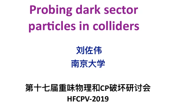 Probingdarksectorpar1clesincolliders