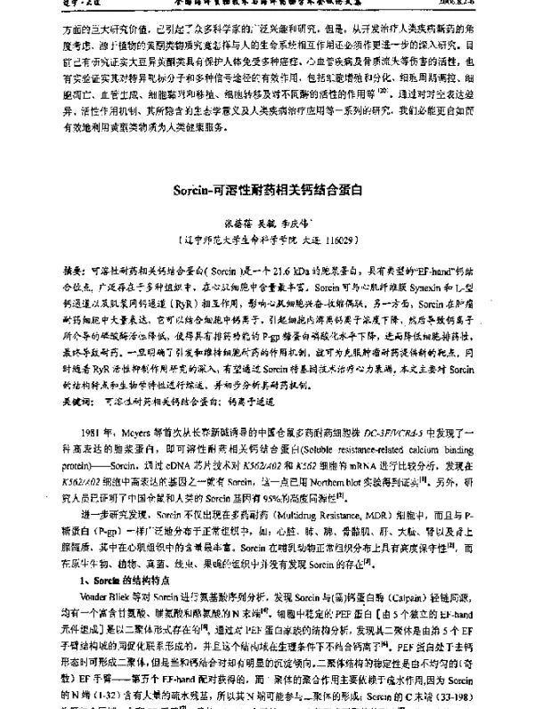 Sorcin-可溶性耐药相关钙结合蛋白