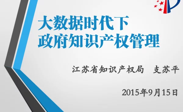 大数据时代下政府知识产权管理