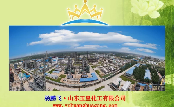 山东玉皇化工有限公司