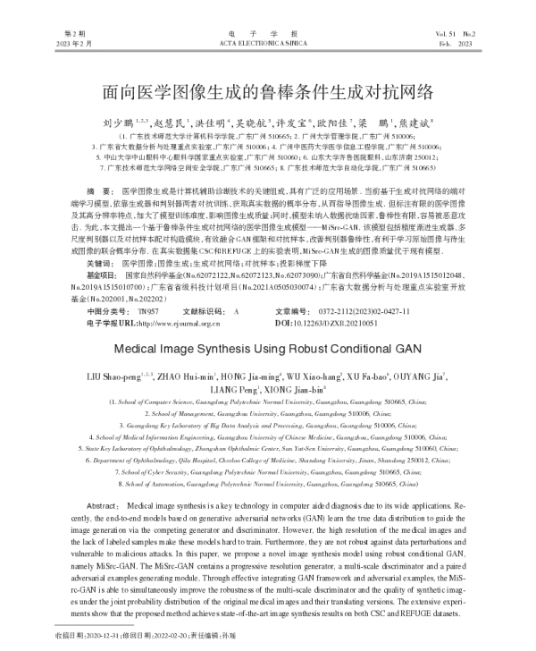 面向医学图像生成的鲁棒条件生成对抗网络