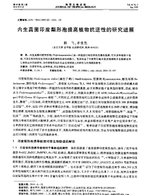 内生真菌印度梨形孢提高植物抗逆性的研究进展